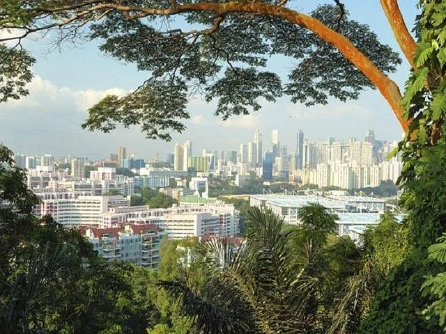 Singapore skyline view framed by lush green trees in the foreground