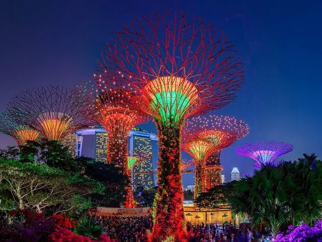 Supertrees lit up with vibrant colors at Gardens by the Bay