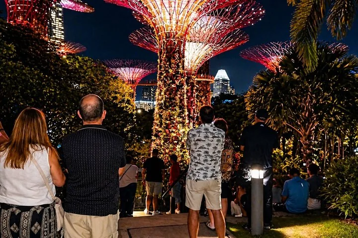 Tourists watching the light show at Gardens by the Bay at night