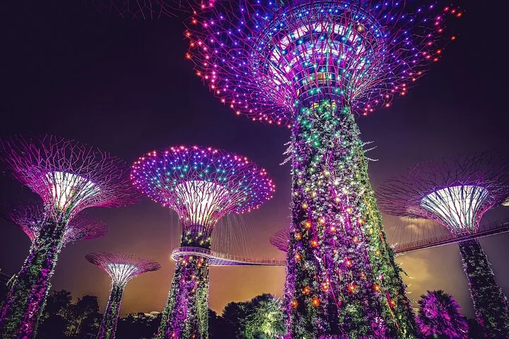 Beautifully lit Supertrees at Gardens by the Bay in the evening