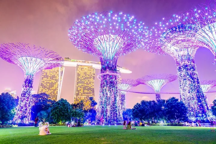Illuminated Supertrees at Gardens by the Bay with Marina Bay Sands